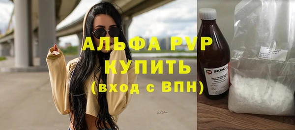 сатива Бородино