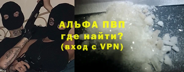 сатива Бородино