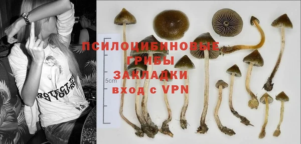 сатива Бородино
