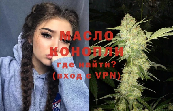 сатива Бородино