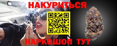 прущие грибы Балаково