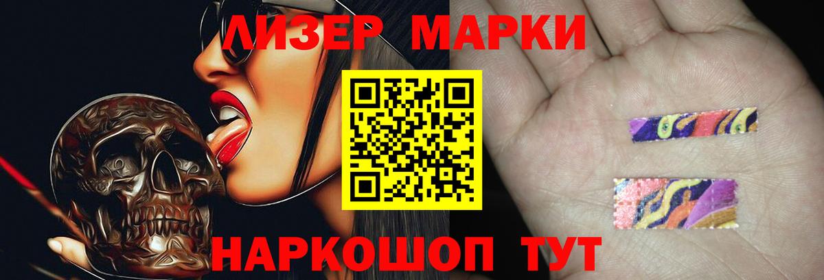 blacksprut как войти  Лсд 25 экстази кислота  ЛСД экстази кислота  Вход с VPN  Гудермес 