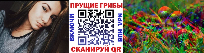Псилоцибиновые грибы MAGIC MUSHROOMS  OMG маркетплейс  Гудермес 