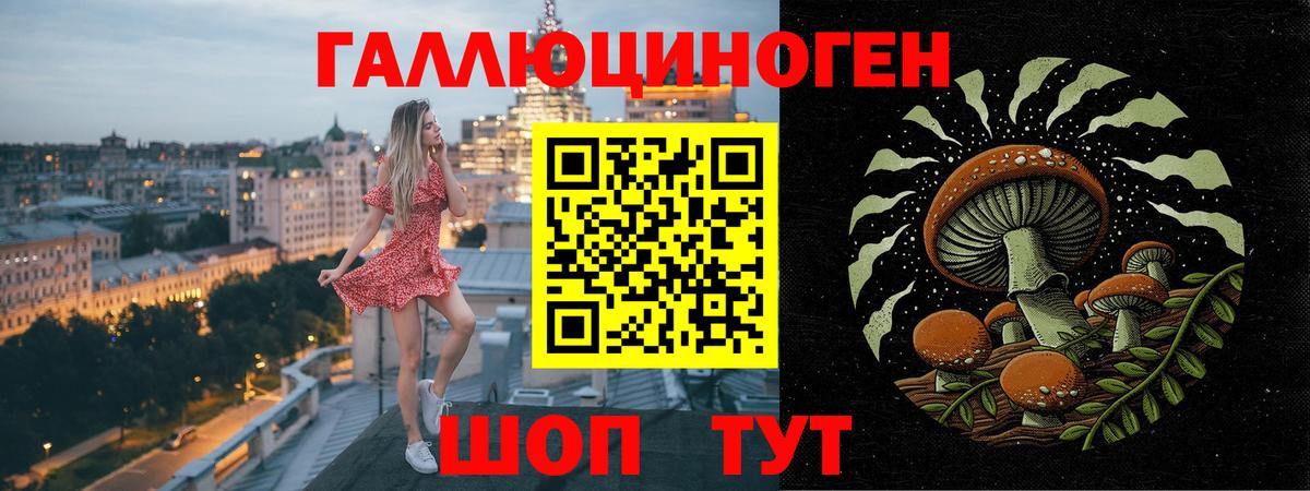 дарнет шоп  Галлюциногенные грибы прущие грибы  Гудермес  Вход с VPN  Галлюциногенные грибы мицелий 